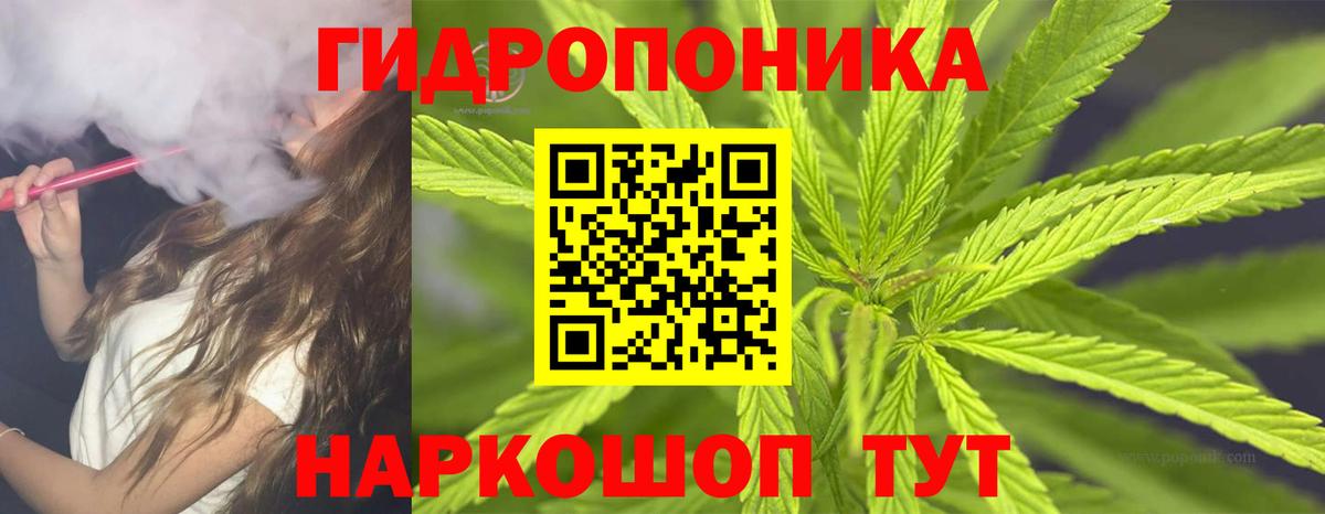 Конопля семена  Канабис OG Kush  Белгород  Каннабис SATIVA & INDICA  Вход с VPN 